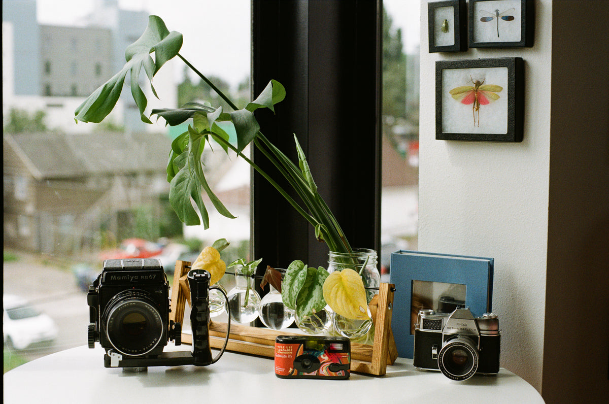 How to Pick the Perfect Camera For You! Indisposable