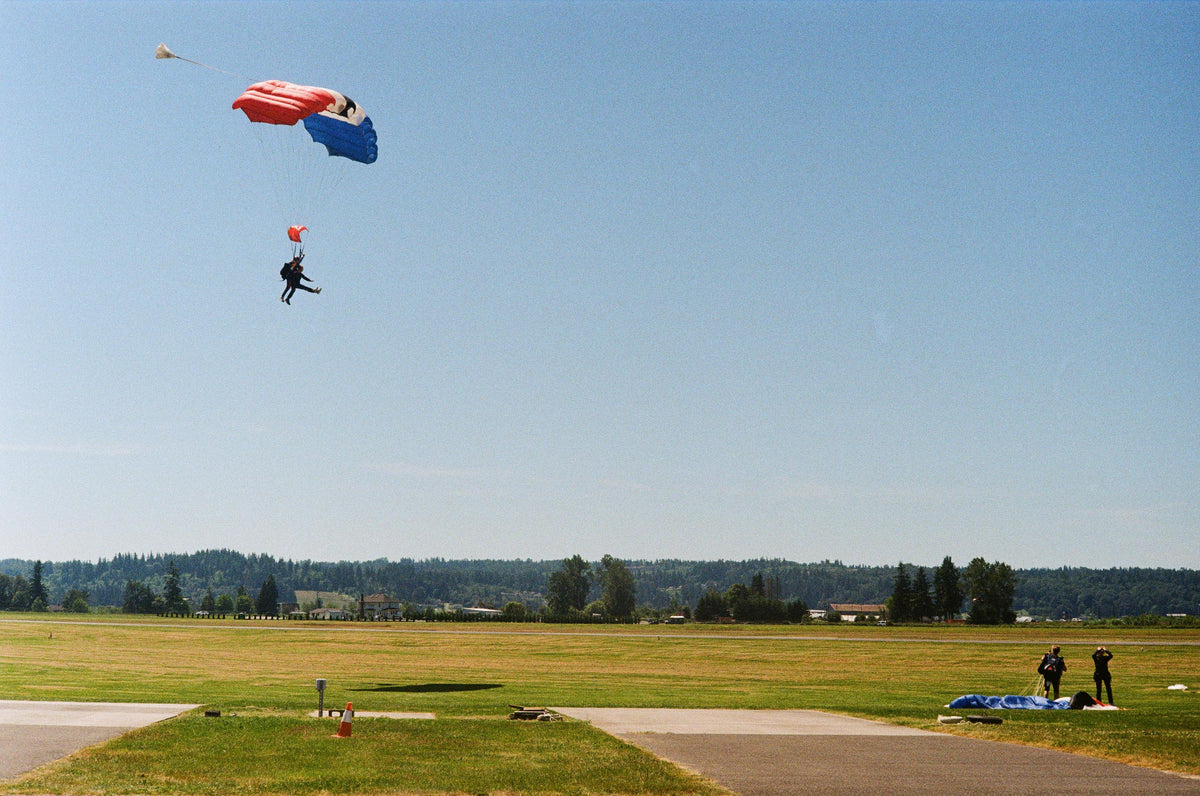 How to Shoot Film Without a Light Meter The Sunny 16 Rule Indisposable